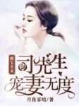 《萌宝有双：司先生宠妻无度》小说章节列表免费试读 苏浅司墨