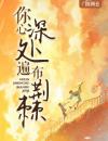 主角是封樾林璇的小说 《跨越山河拥抱你林素雅封青樾》 全文精彩阅读