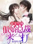 主角是江城城时墨秋的小说在线阅读 甜妻驾到：傲娇总裁来一打