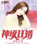 《神级狂婿》完结版精彩阅读 陈阳林梦诗小说在线阅读