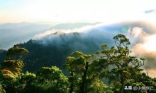趁假期自驾游海南吊罗山感受热带雨林的壮丽，听瀑布落下的声音