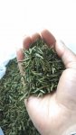 安徽十大名茶之一茶农生产的茶叶“百年翠茶 岳西翠兰 ”国宾礼茶