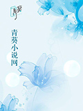 主角是江一峰李小冉的小说免费阅读 小说主角名叫江一峰李小冉
