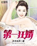 主角是叶凌峰沈蕴雅的小说在线阅读 第一狂婿免费阅读